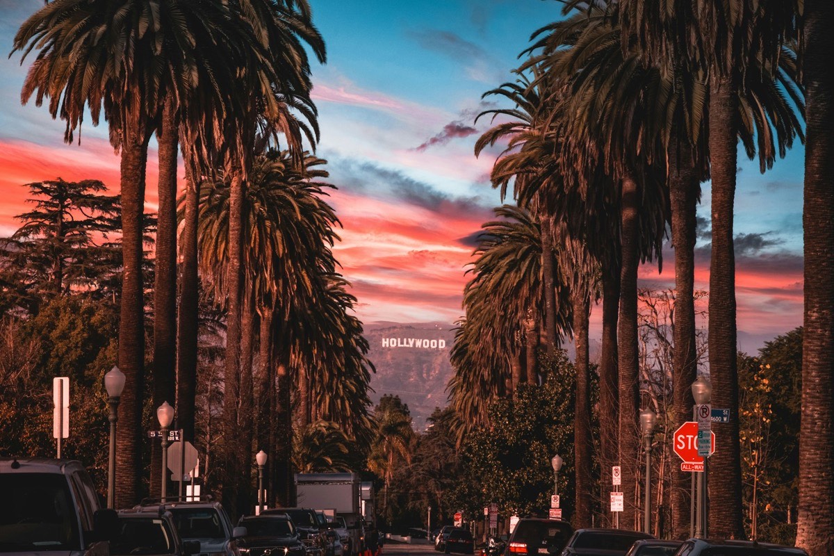 Palm-lined Los Angeles street at dusk